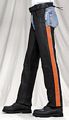 C333<br>Orange Stripe Leather Chaps